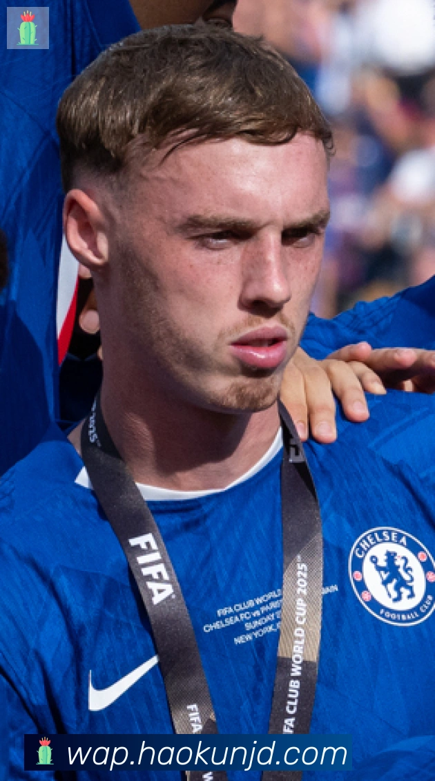 阿方索·戴维斯